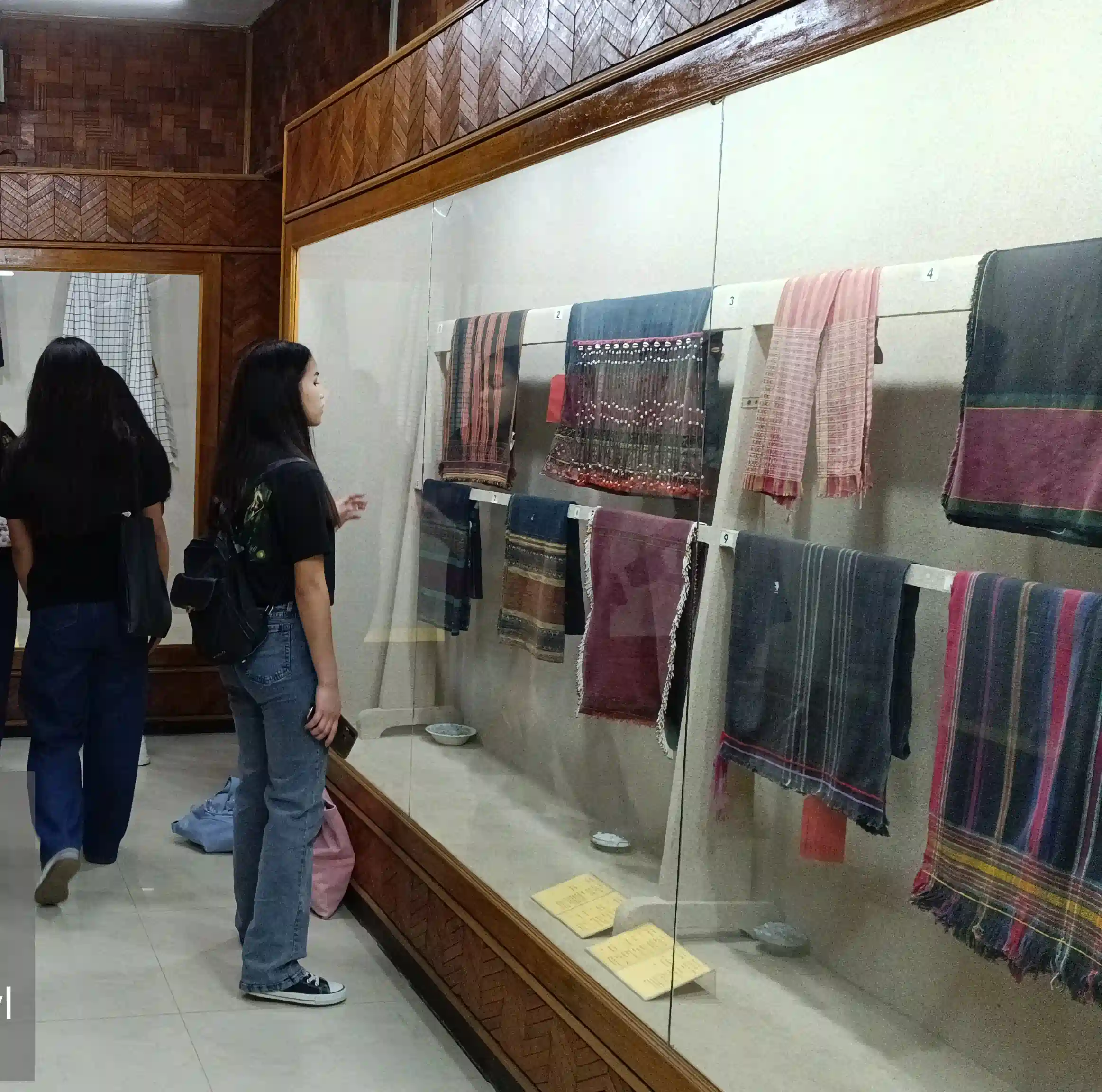 State Museum Visit: Mizo Department